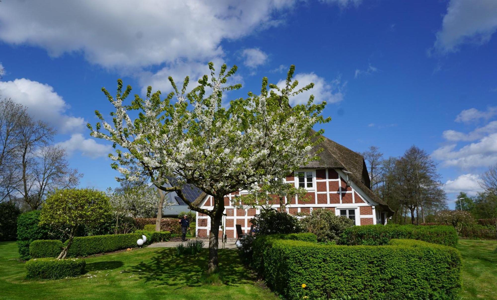 Altes Oste, Appartement, Winter Warm Mit Kamin, Sommer Pool * Hemmoor